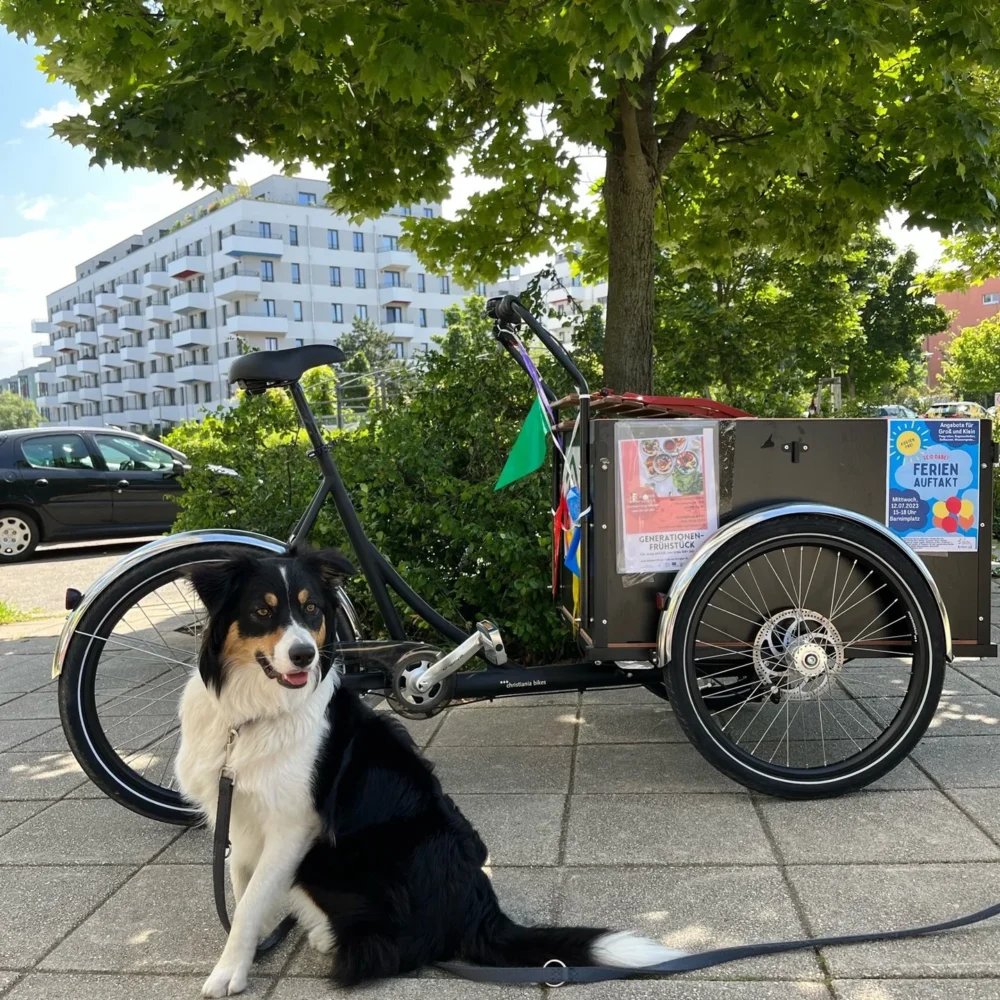 Lastenfahrrad Mit Hund