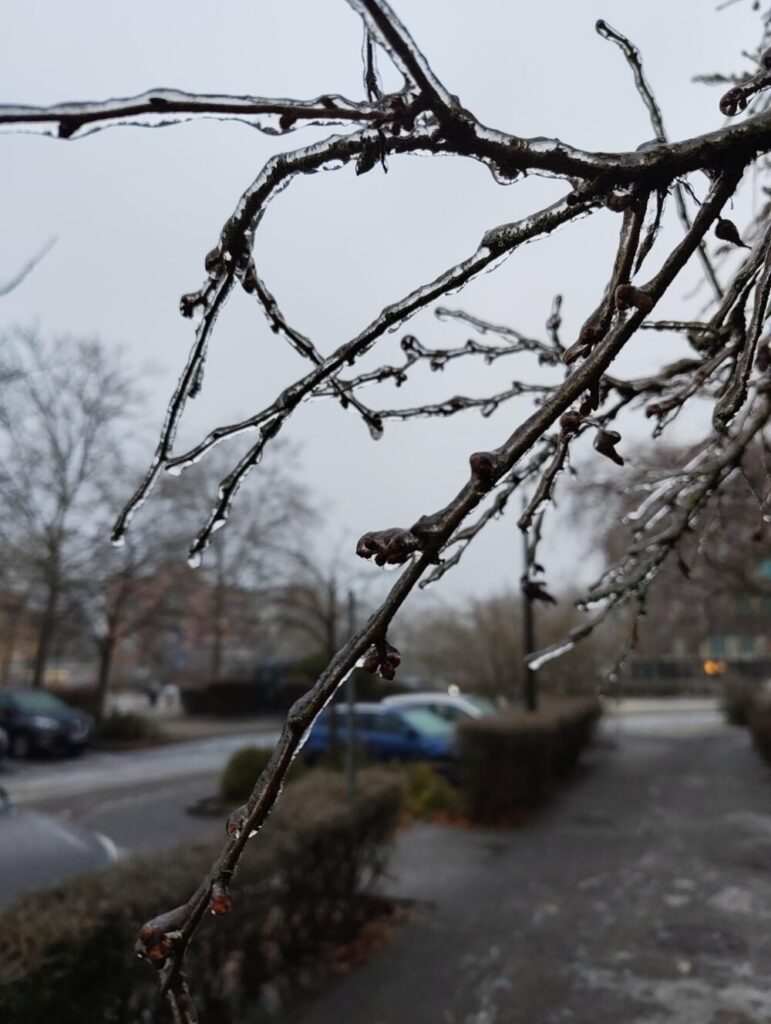 Img 20260126 085940119